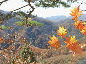 芜湖市新闻出版局启动数字化转型与创新发展项目探索最新动态