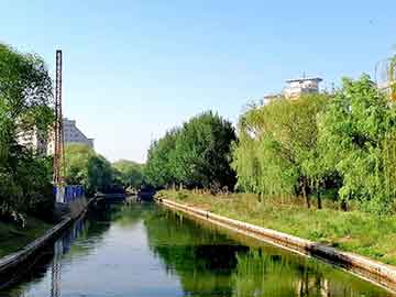 攀枝花市地方税务局推动税务现代化，助力地方经济发展新项目建设